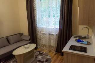 Апартаменты Apartments Konvalia Трускавец Апартаменты с 1 спальней-19