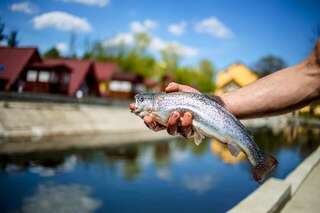 Апартаменты Apartments Konvalia Трускавец-5