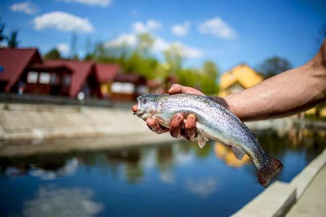 Апартаменты Apartments Konvalia Трускавец-8